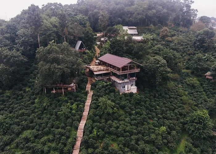 Ma Family Coffee Farm ไร่กาแฟครอบครัวมะ