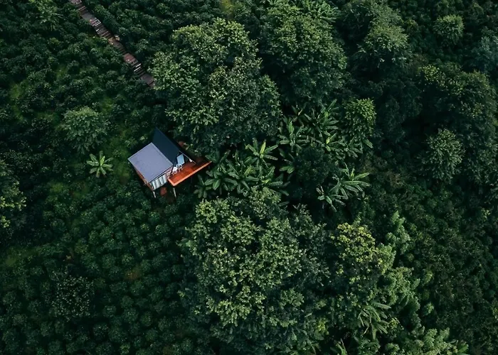 Ma Family Coffee Farm ไร่กาแฟครอบครัวมะ