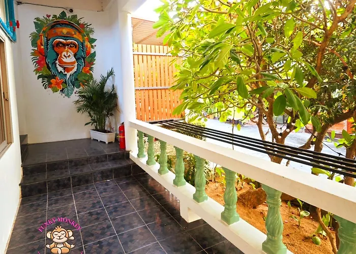 The Funky Monkey Hostel - 18 To 40 Years Old Only