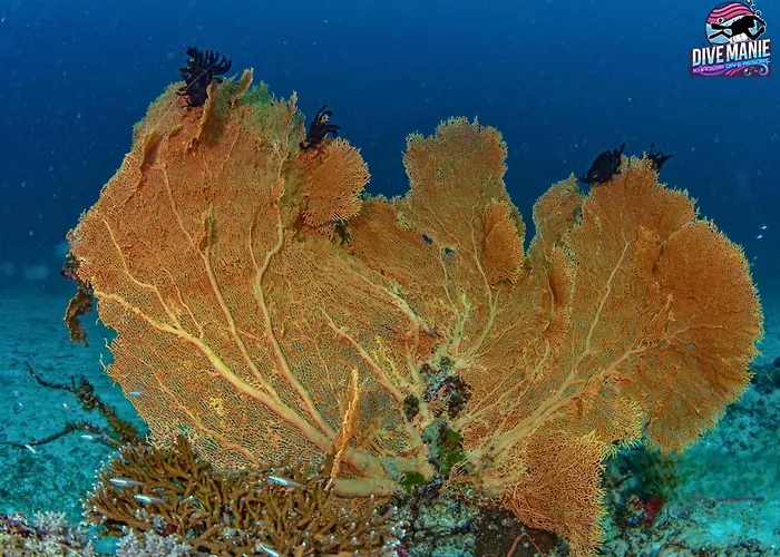 Khaolak Dive Resort
