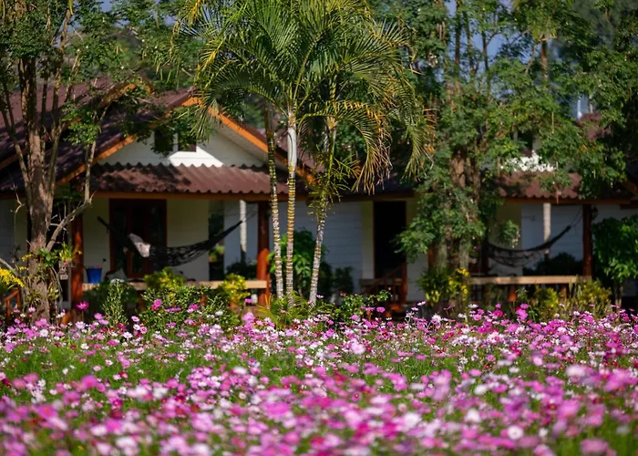 The Nest House