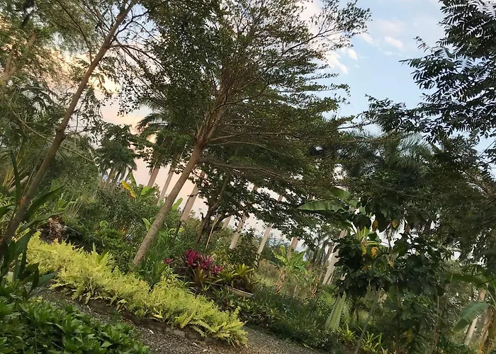 Chiangdaoplace