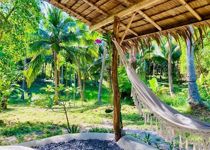 Secret Palm