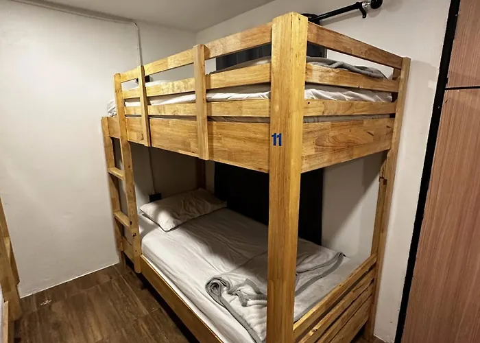 Monkey'S Hostel