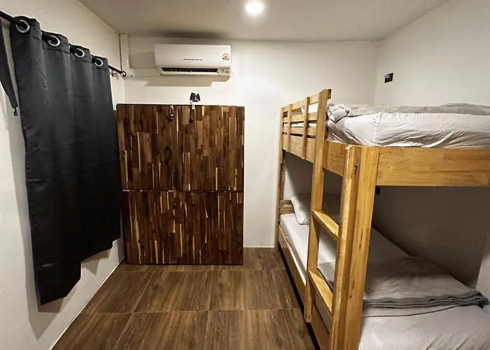 Monkey'S Hostel