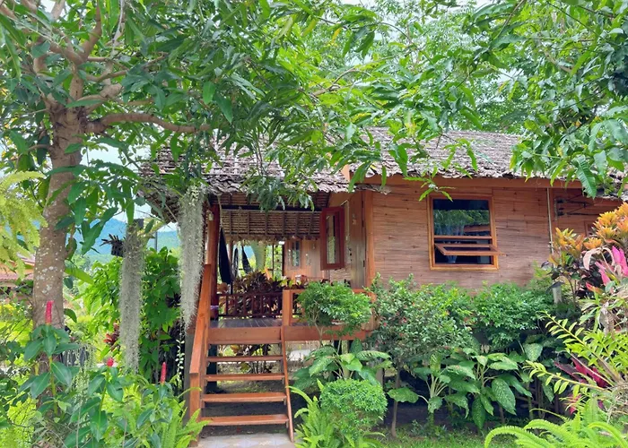 The Nest House