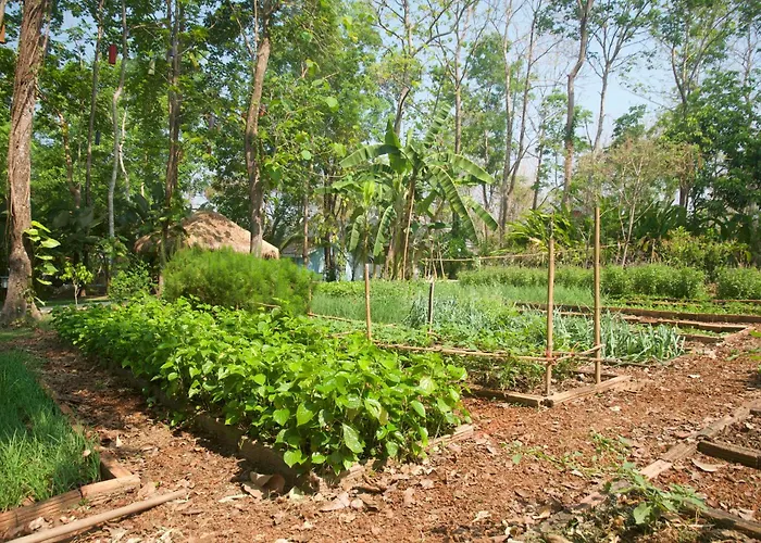 Monoceros Resort