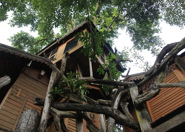 Pai Treehouse Hotel