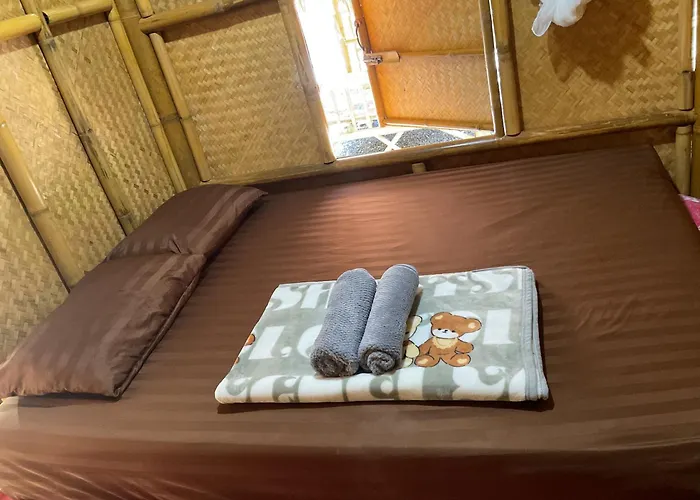 Khaosok August Freedom Camp