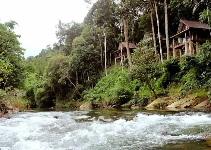 Khaosok Rainforest Resort Khao Sok National Park
