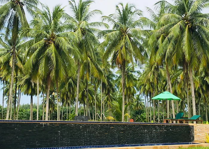 Khao Lak Golden Coconut