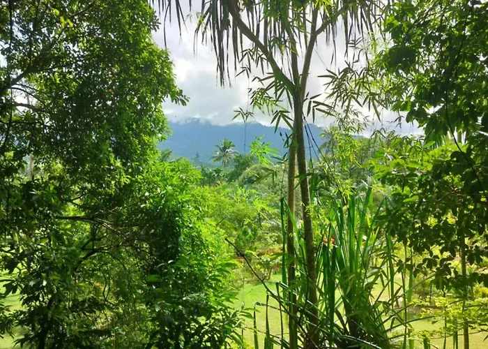 Khao Sok Saengtawan Resort And Camp