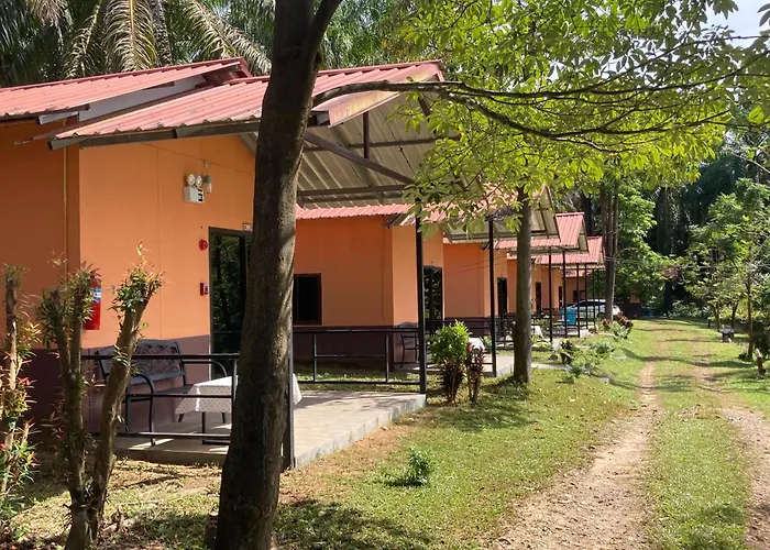 Khao Sok Evergreen House Khao Sok National Park