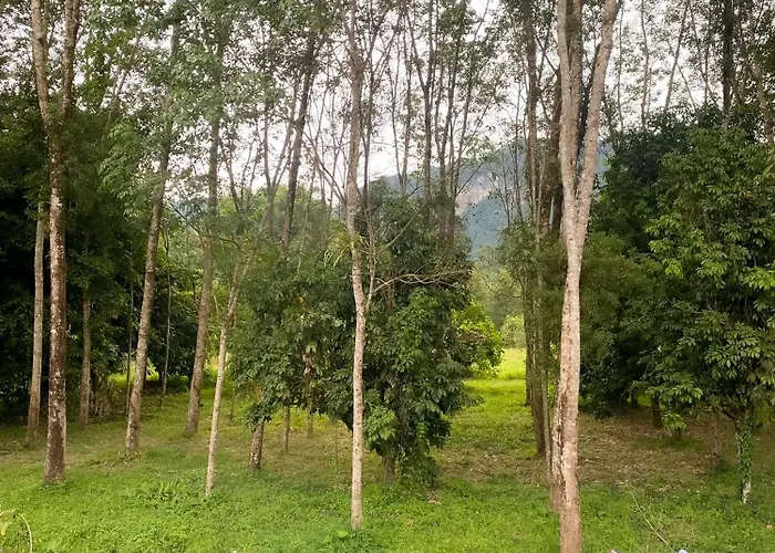 Little Wild Hostel Khaosok
