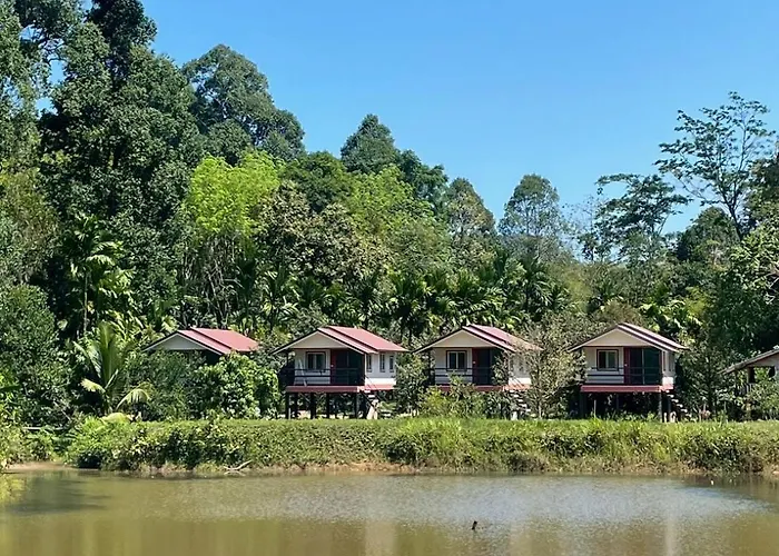Wildnest House