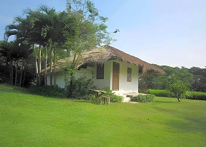 Hakuna Matata Nature Resort