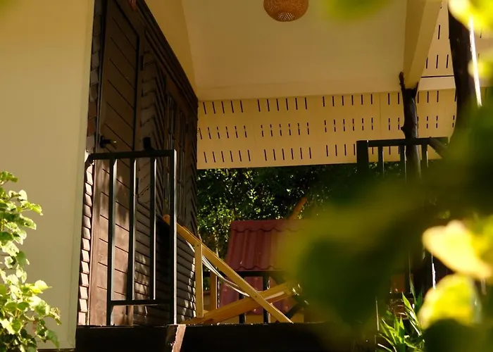 Flow Jungle Residency