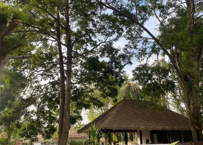 Arunta Samui