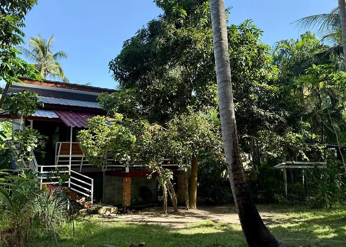 Zen Palm