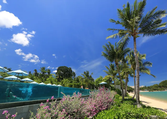 Celes Samui
