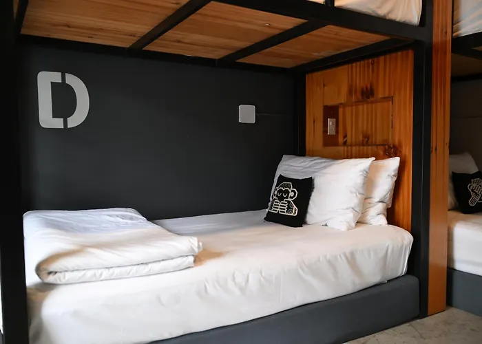 Blu Monkey Hotel Surat Thani