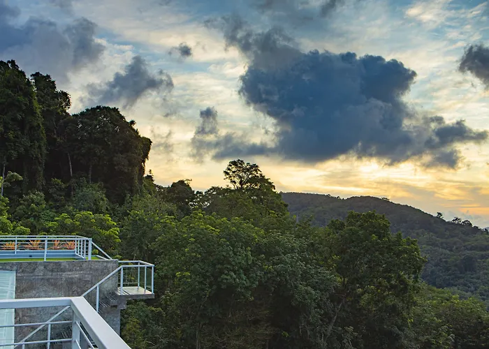Phuket View Coffee And Resort