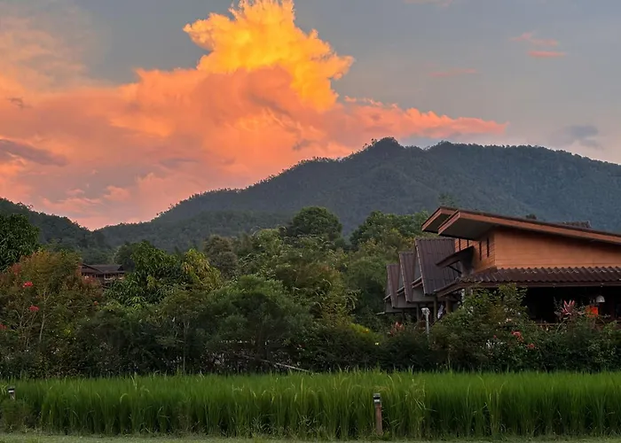 The Nest House
