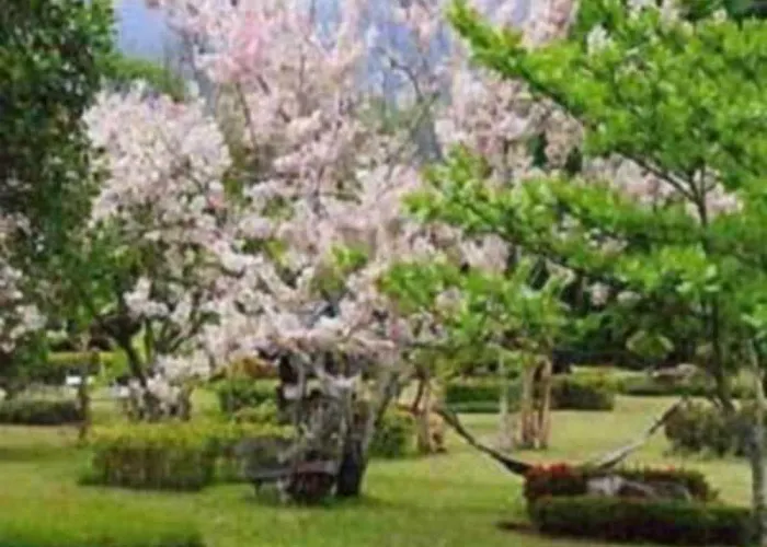 Muang Pai Resort