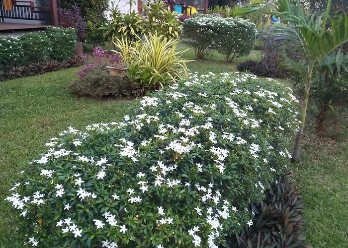Sean Sabai Home E Ristobar