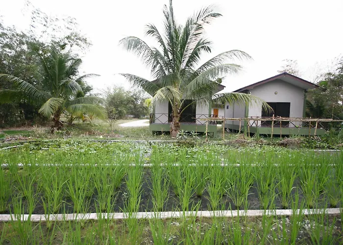 Long Lake Resort