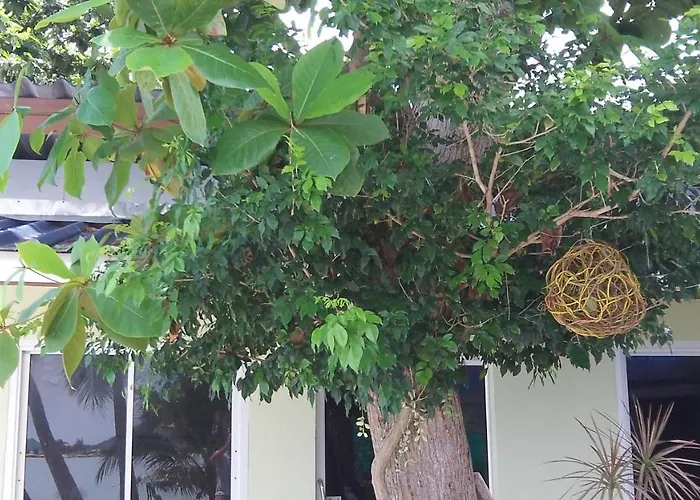 Zen Zi Beach Rooms Ko Pha Ngan
